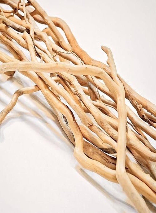 Azil Natural Aquarium Driftwood Root - Driftwood for Aquarium Decor, 250g (10″-15''), Fish Tanks, Terrariums, Aquascaping & Planted Tanks - Image 5
